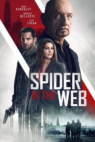 Spider in the Web 2019 1080p WEBRip DD5 1 x264-GalaxyRG