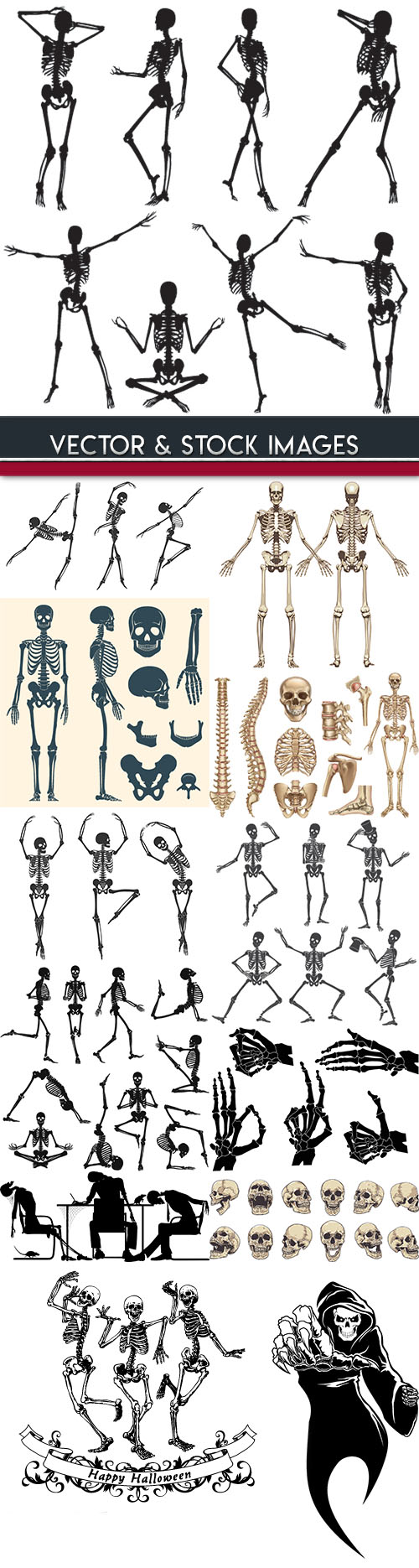 Human skeleton and bones in Halloween dance
