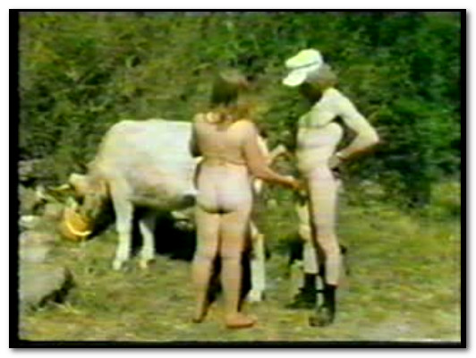 Bodil Joensen - Animal Sex Pornstars - Farm Sex