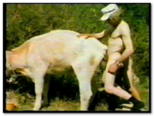 Bodil Joensen - Animal Sex Pornstars - Farm Sex