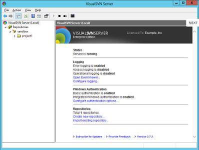 VisualSVN Server Enterprise 4.1.0