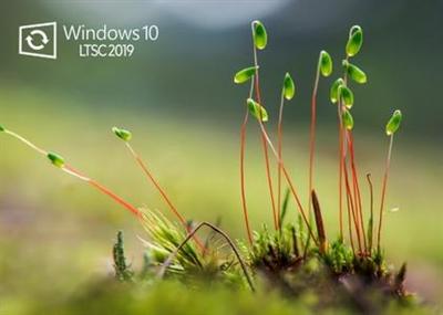 Windows 10 Enterprise LTSC 2019 version 1809 build 17763.774