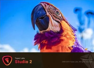 Topaz Studio 2.1.0  (x64)