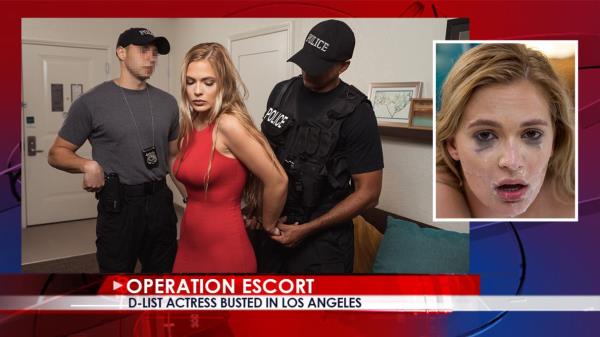 Sloan Harper - D-List Actress Busted In Los Angeles (2019/HD)