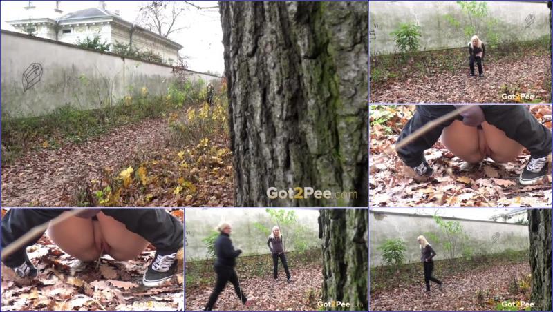 Unknown - Video-soggy-leaves (2019/FullHD)