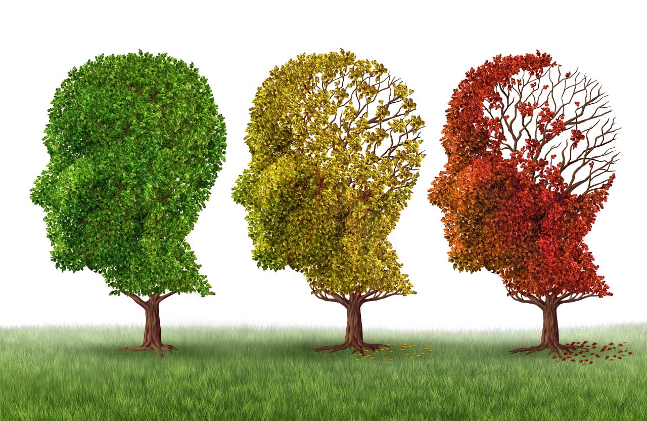 Вісті з Полтави - Як розпізнати й уповільнити хворобу Альцгеймера