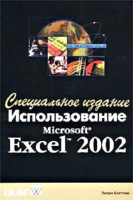  .  Microsoft Excel 2002.  