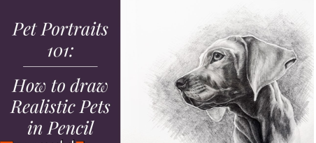 Pet Portraits 101: How to Draw Pets in Pencil