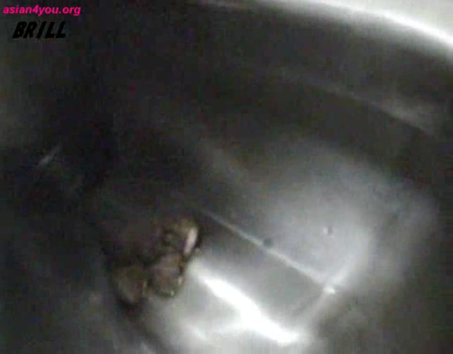 Scat Invisible man in toilet pooping and peeing - Scatshop    18 October 2019 (555 MB-HD720p-512x400)