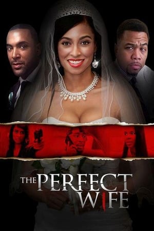 The Perfect Wife 2017 WEBRip XviD MP3 XVID