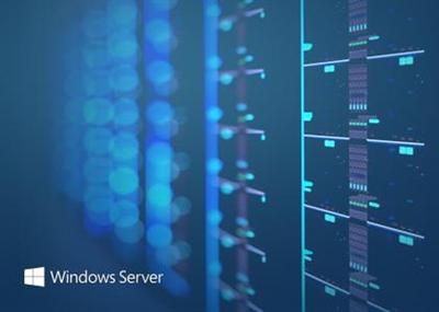 Windows Server 2019 LTSC build  17763.805 (x64)