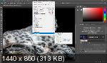Adobe Photoshop CC 2019 20.0.6 Portable by punsh + Plug-ins