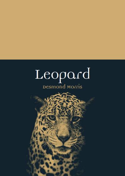 Leopard (Animal)