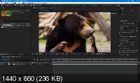 Adobe After Effects CC 2019 16.1.3.5 Portable