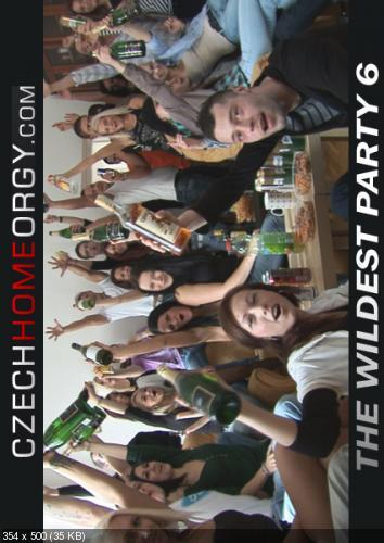 Czech home orgy - The wildest party 6