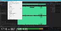 Adobe Audition 2020 13.0.7.38 RePack by KpoJIuK